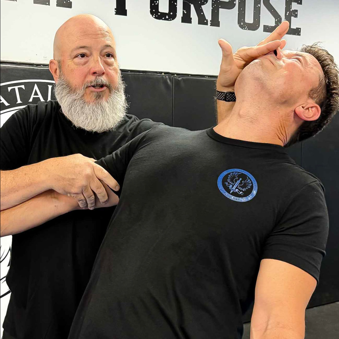 Catalyst Krav Maga | Why Krav Maga